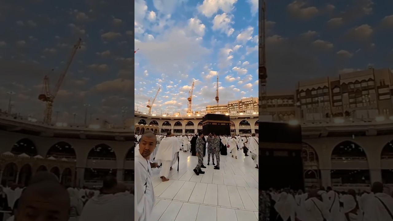 Jessica Radcliffe Orca Attack || Jessica Dolphin Attack Real Full Video 