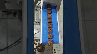 Energy Bar Extruder