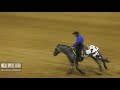 # 507 SHOCKING GOSSIP Shown By JASON CONTRERAS   R001 ApRHA Reining Futurity 2018 ApHC World Show