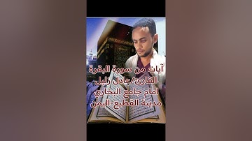 آيات من سورة البقرة للقارئ الشيخ عادل زليل