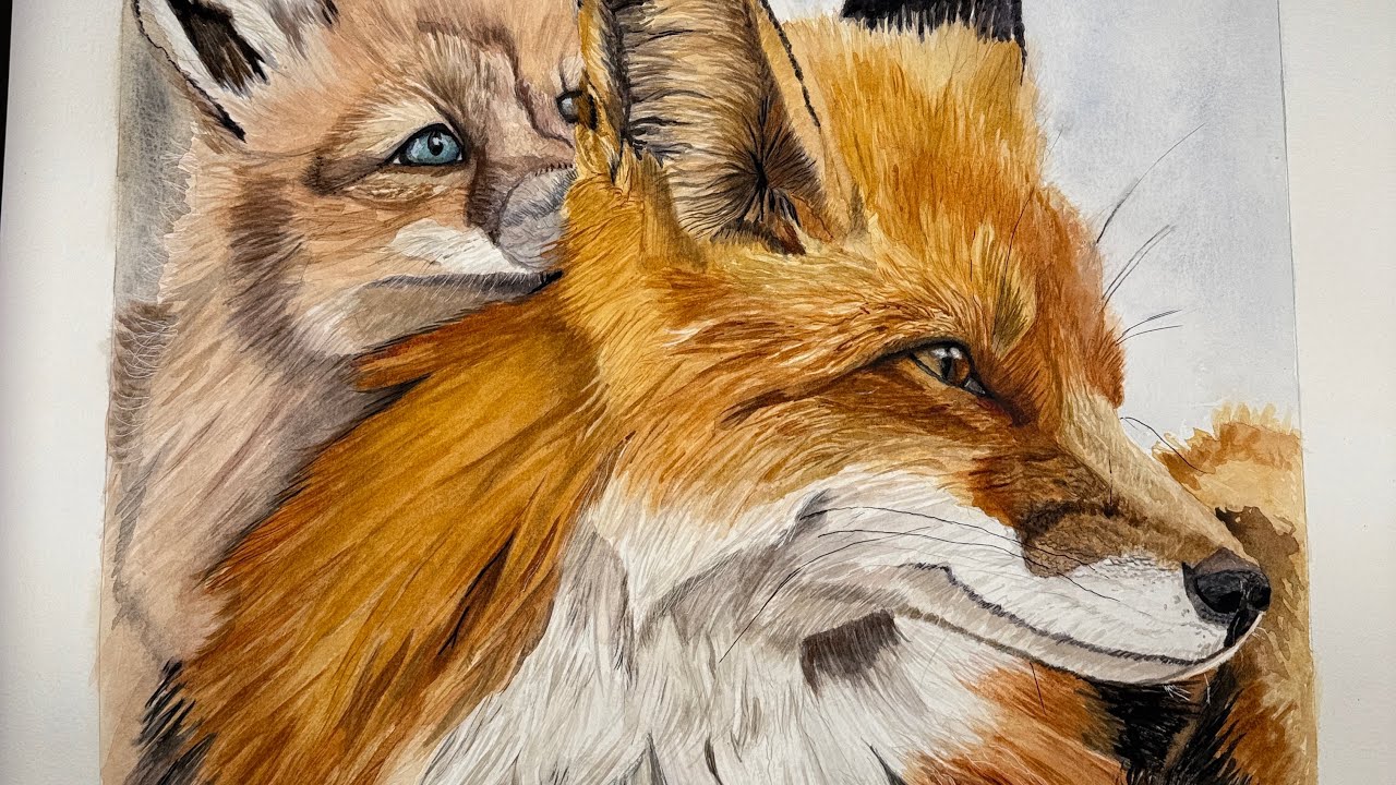 Watercolour painting of Mother and baby fox