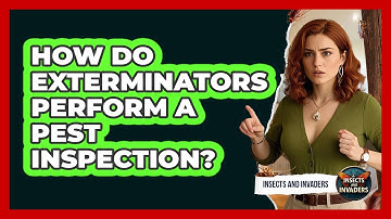 How Do Exterminators Perform A Pest Inspection? - Insects and Invaders