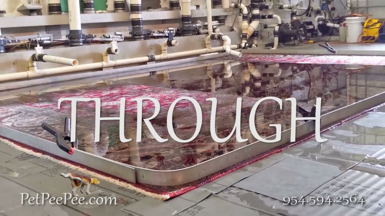 Ask!!! Do you Guarantee urine odor removal & Color will not Bleed | Oriental rug Cleaning