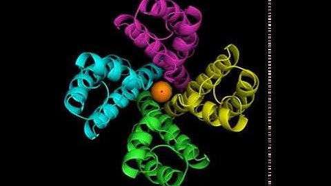 Potassium channel KcsA