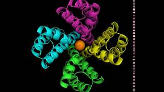Potassium channel KcsA