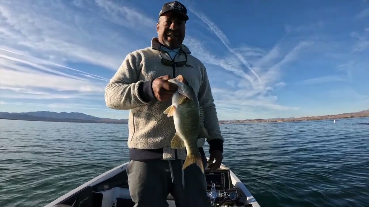 Fishing with a $200,000 Lure. The bait that catches all the bass in the Lake. When chasing bait.