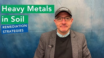 Heavy Metals in Soil: Remediation Strategies