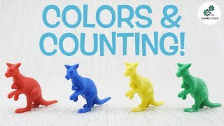 Learn Colors Counting With Australian Animals For Toddlers From Learning Toolkit
