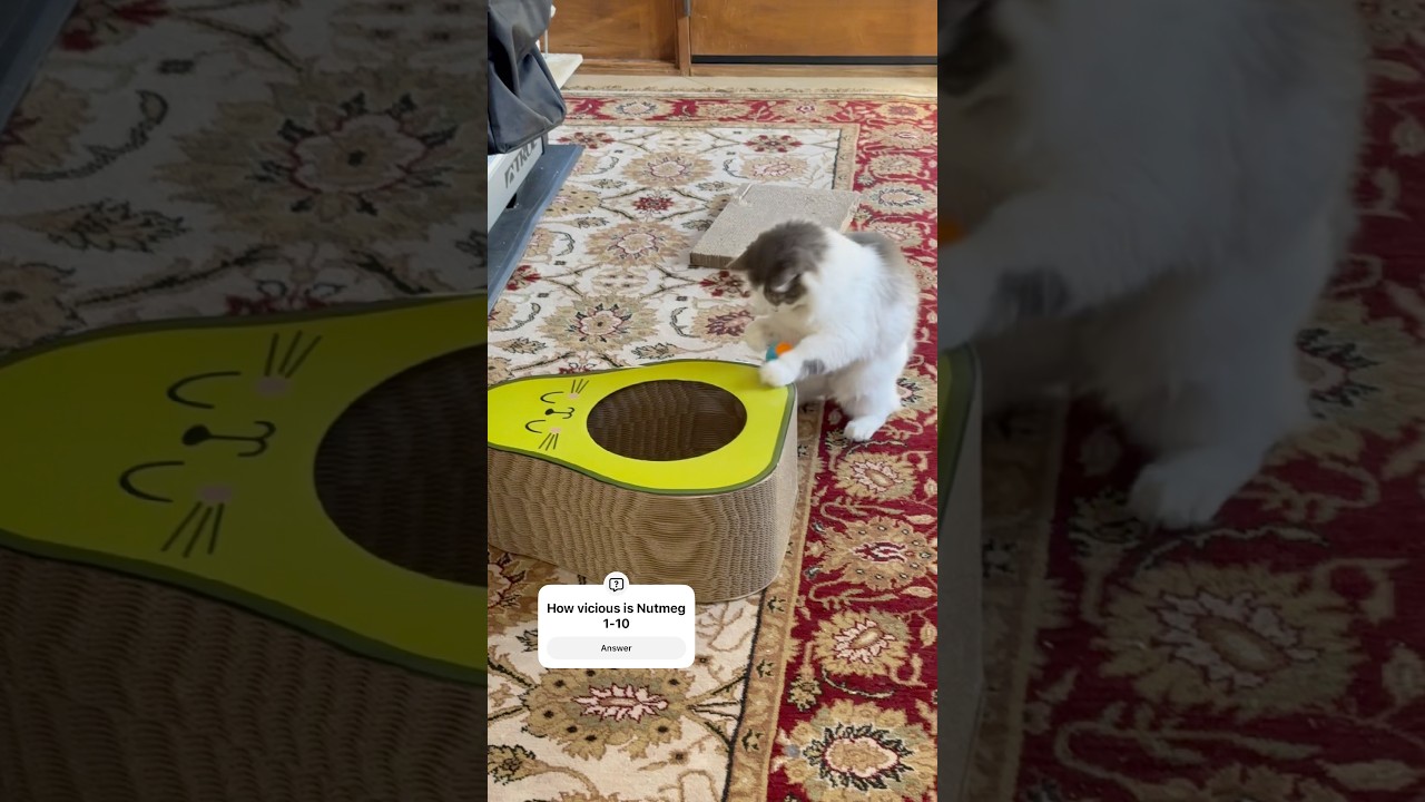 Caught the beast during a hunt  