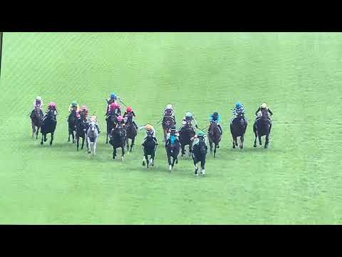 【武豊】安田記念 シックスペンス パトロールビデオ