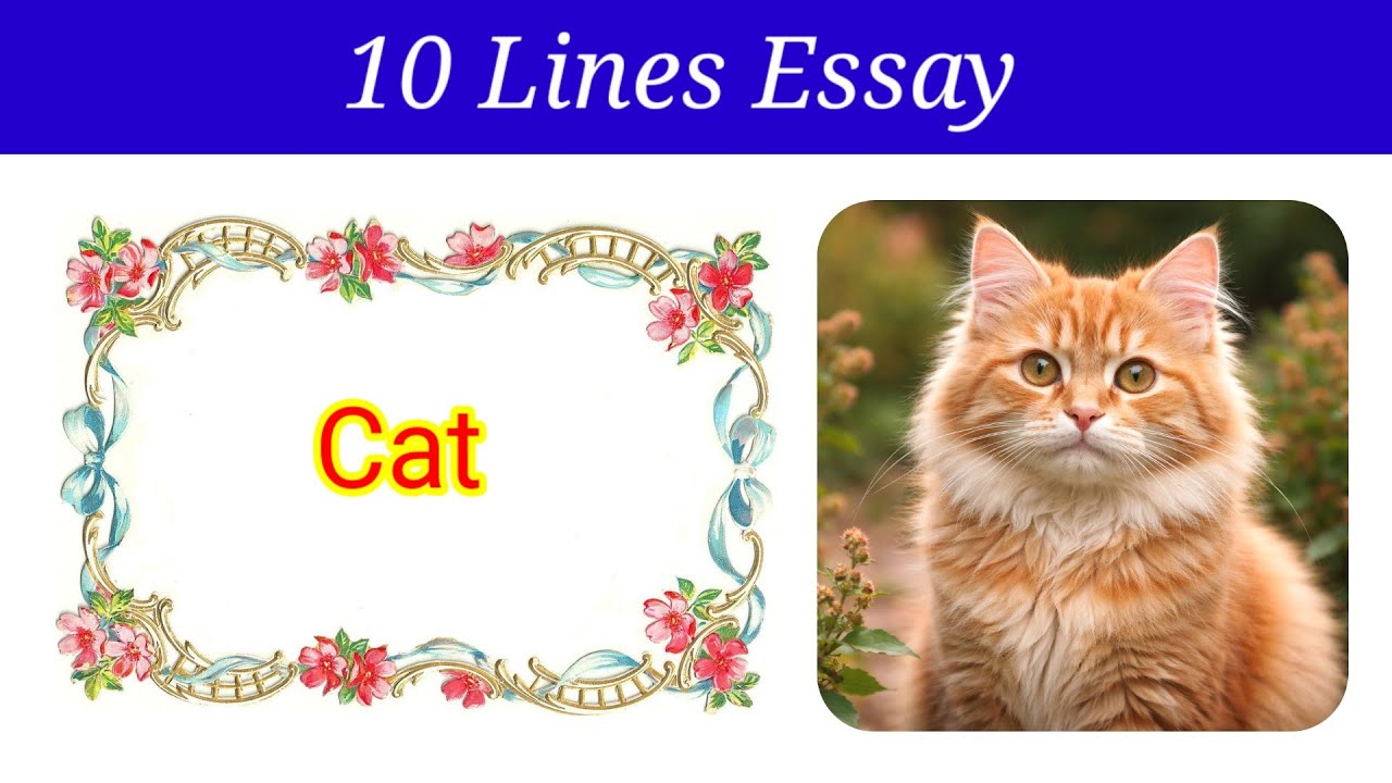 10 Lines Essay on Cat in english | Cat essay in english | essay on cat | cat essay 10 lines