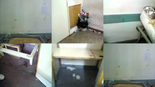 Mdzol Muro De Lectores