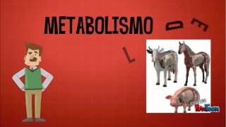 METABOLISMO DE LIPIDOS UDLA