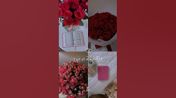ولقد ضربنا للناس في هذا القرآن من كل مثل #quran #تلاوة_خاشعة #قرآن #islam