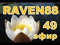 RAVEN 88 В ЭФИРЕ 49