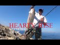 Shore Jigging Greece - HEARTY RISE Sitenkiba II - Amberjack
