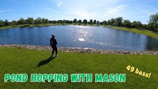 Pond hopping for largemouth bass, 49 fish morning!