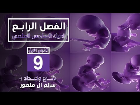 المحاضرة 9 علاجات تقانات العقم