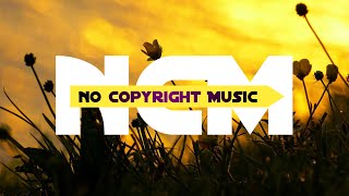 Prototype   Shadows [NCM No Copyright Music]