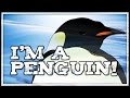 Penguin Facts Quiz