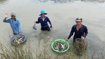 Giao lưu cùng anh em YouTube đi thuốc cá vuông tôm // Exchange with YouTube brothers // Ba Gạo tv