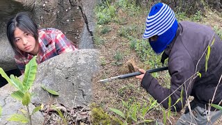 Download Lagu Linda is forced by the bad guys – Will Jack Son make it in time? MP3