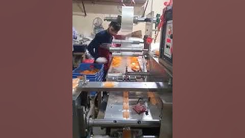 HORIZONTAL FLOW WRAP POUCH PACKING MACHINE