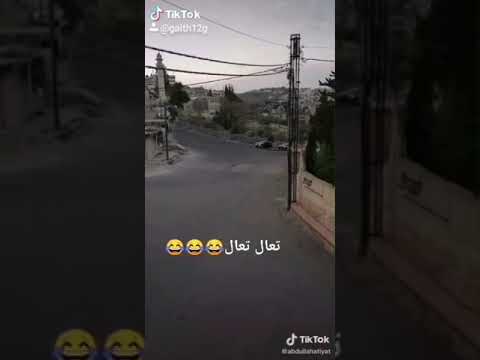 فيديو: هل يوجد حظر تجول في فريمونت؟