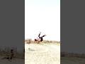 Lovely🥰 flips #youtubeshorts #stunt #shortvideos #viral #video