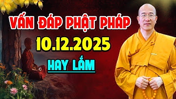 Vấn Đáp Phật Pháp Ngày 10.12.2025 l Thầy Thích Trúc Thái Minh