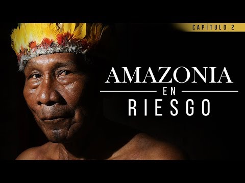 Amazonia en riesgo: 60 años sin desarrollo de los territorios indígenas | El Espectador