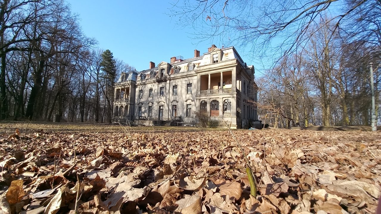 Pałac Dembińskich w Borkowicach 