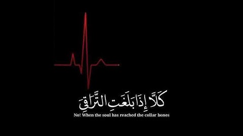 اجمل تلاوة / الشيخ ناصر القطامي