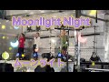 Moonlight Night - ムーンライト