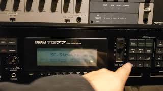 YAMAHA TG77