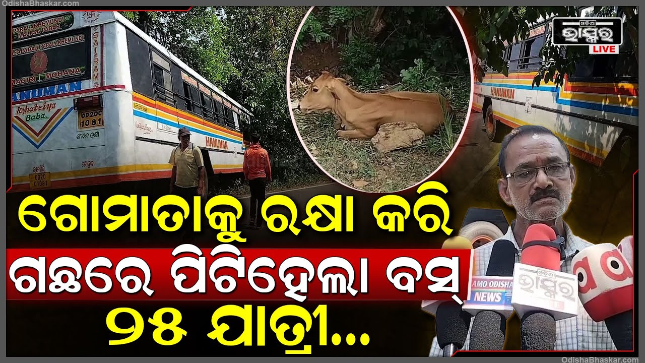 ଗୋମାତାଙ୍କୁ ବଞ୍ଚେଇବାକୁ ଯାଇ ବସ୍ ସହ ଘଟିଲା ବଡ଼ ଅଘଟଣ, ଭିତରେ ଥିଲେ ୨୫ ଯାତ୍ରୀ, ସବୁ ଏବେ...