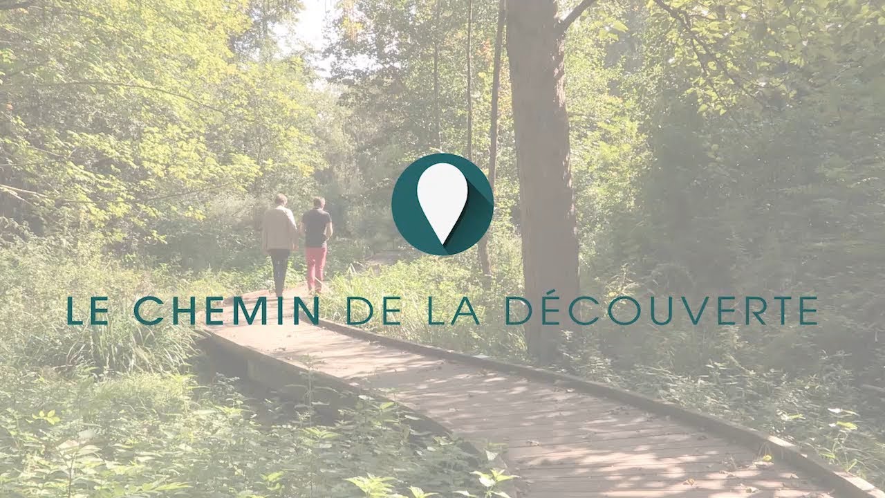 Melle, Petite Cité de Caractère des Deux-Sèvres - Le chemin de la découverte