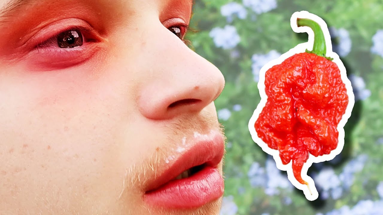 CAROLINA REAPER Roulette YouTube