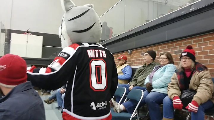 Port Huron prowler hockey