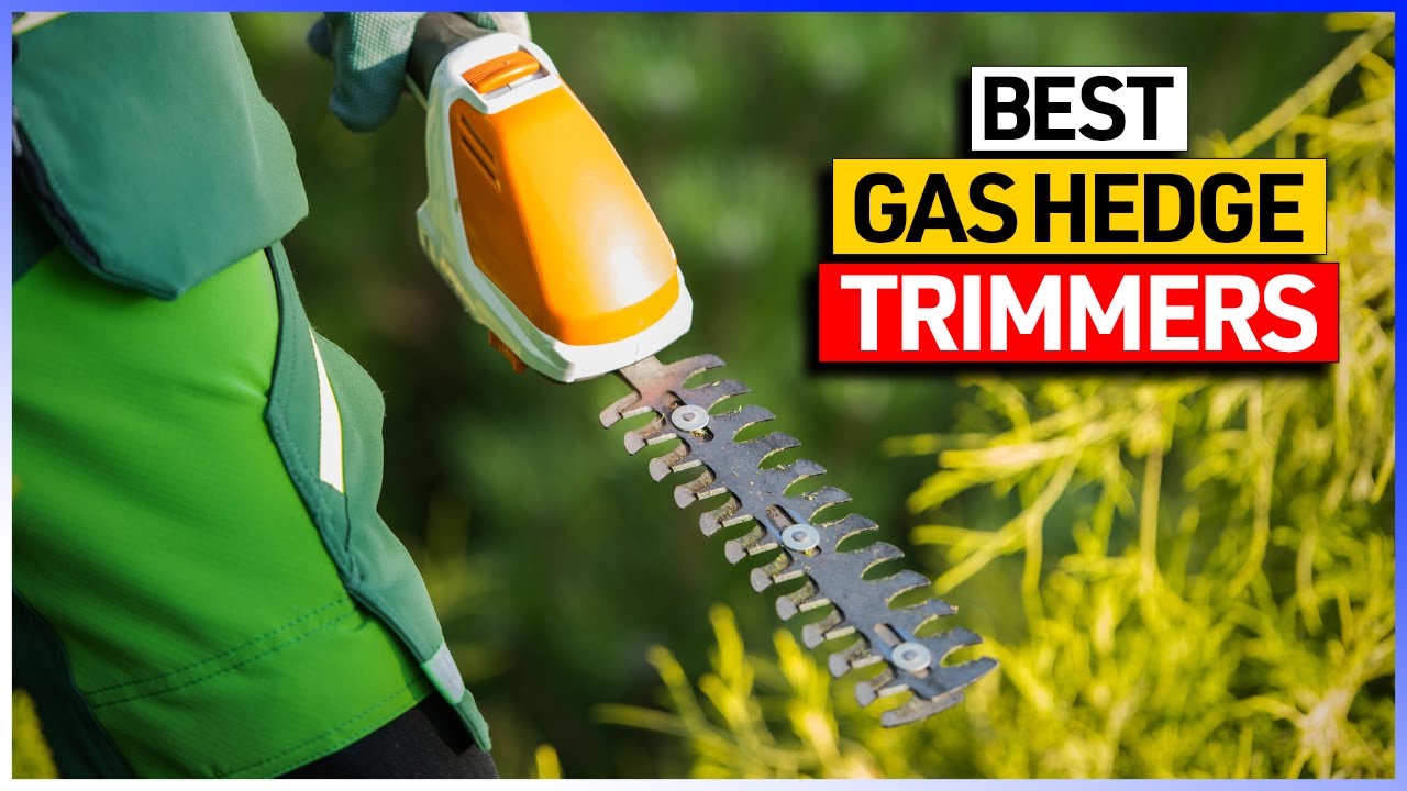 Best Gas Hedge Trimmers Review You Buy on Amazon Pick] - YouTube