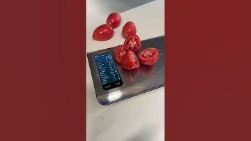 Never Guess Calories Again with This Food Scale! #macros