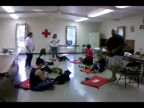 24 Hour Vet Hospital & American Red Cross partner for Pet ...