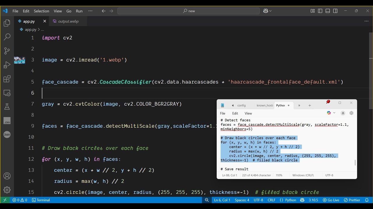 Python 3 OpenCV Script to Detect Faces in Images and Hide them by ...