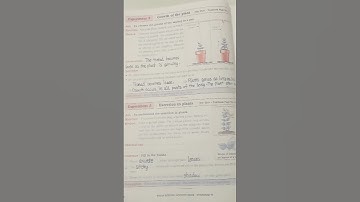 Science standard 6th activity book experiment 2 and 3