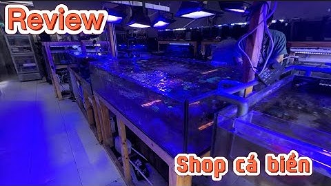 Review shop cá biển Rin Aquarium ở Q Thủ Đức, mua Nẻ Nâu & Tang Mặt Khỉ , san hô Cỏ Trâu