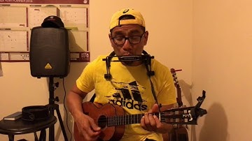 Satu nusa satu bangsa | Ukulele & harmonica cover