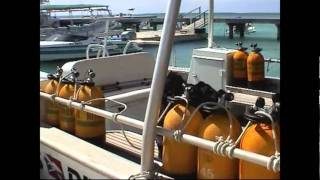 TOPdive Bathys Moorea EN