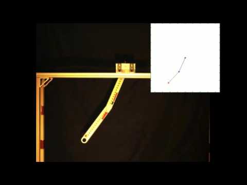 Double Pendulum 7