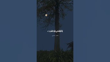 سورة القدر ❤️ #القرآن_الكريم #ايات_القرآن_الكريم #القرآن #القران_الكريم