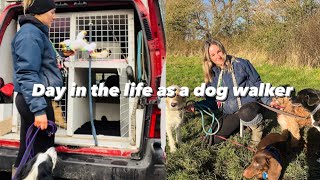 a day in the life as a dog walker | All Paws Outdoors